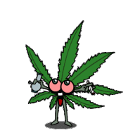 KushGod