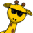 Giraffe1337